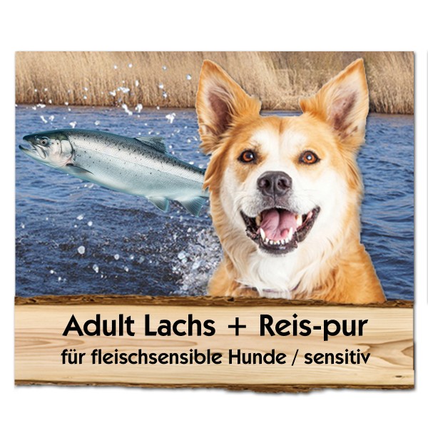 Adult Lachs + Reis-pur