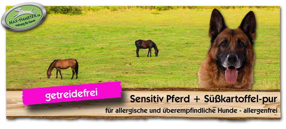 Allergiker-Hunde-Sensitiv-Pferd-Suesskartoffel-pur-Max-Hamster