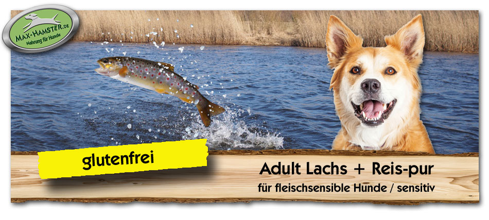 Hundefutter-Sensitiv-Adult-Lachs-Reis-pur-Max-Hamster