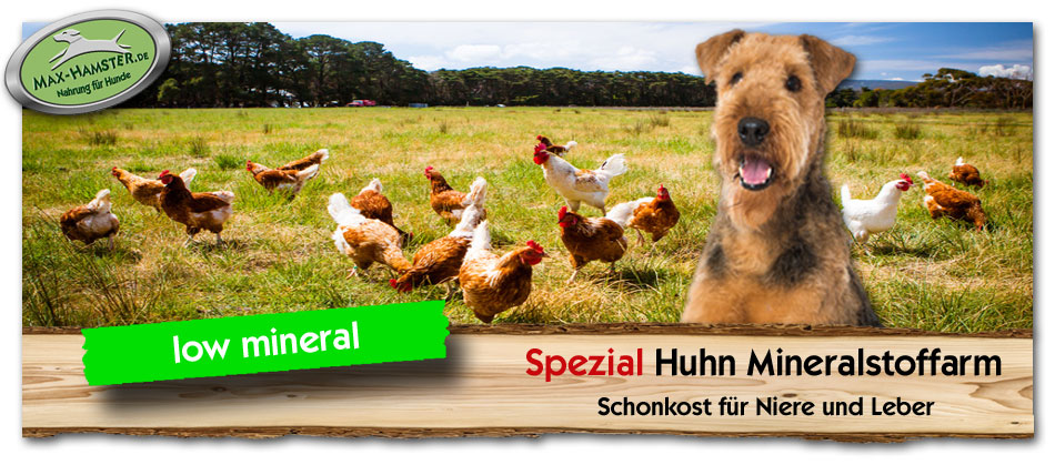 Kranker-Hund-Diaetfutter-Spezial-Huhn-Mineralstoffarm-Max-Hamster