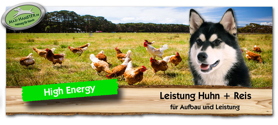 Hundefutter-High-Energy-Leistung-Huhn-Reis-Max-Hamster